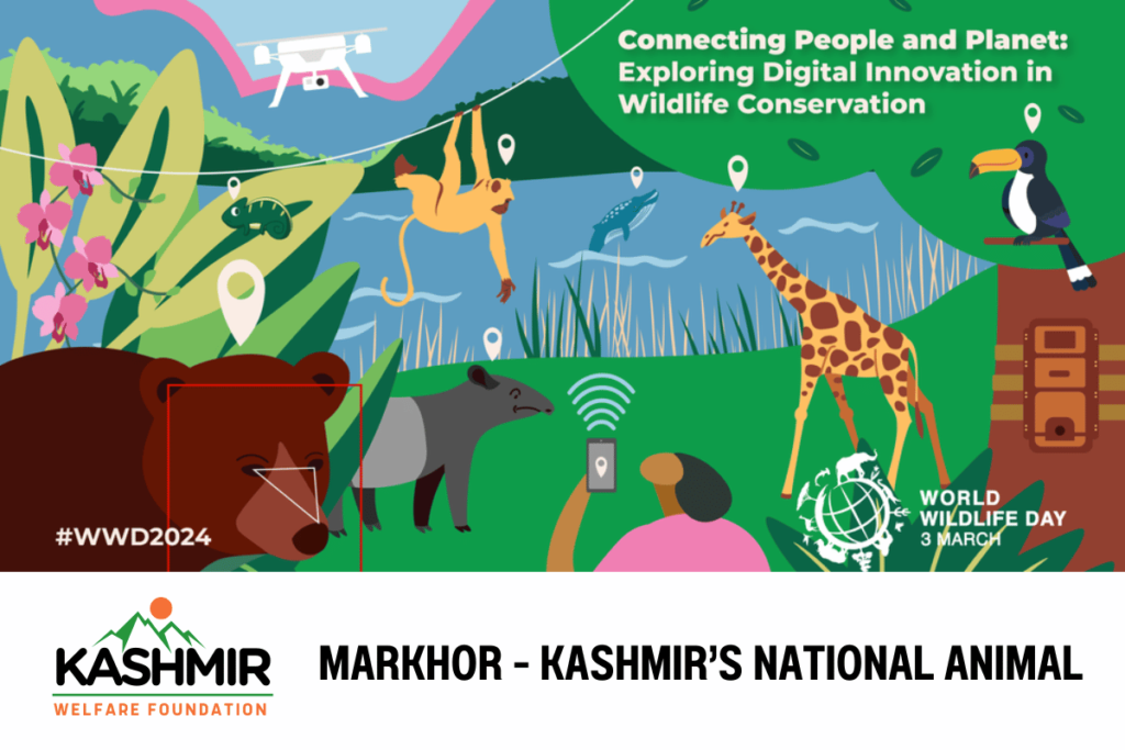 MARKHOR, KASHMIR NATIONAL ANIMAL, ISLAM, KASHMIR, AZAD KASHMIR