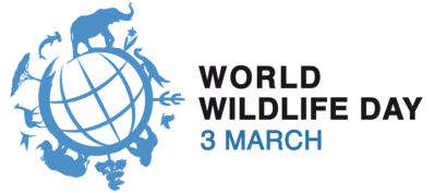 WORLD WILDLIFE DAY, 3RD MARCH, KASHMIR MARKHOR, KASHMIR NATIONAL ANIMAL, AZAD KASHMIR NATIONAL ANIMAL