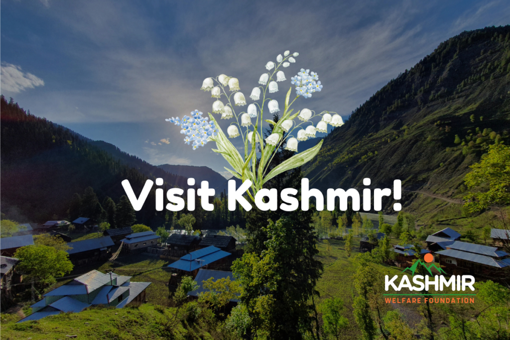visit Kashmir, welfare