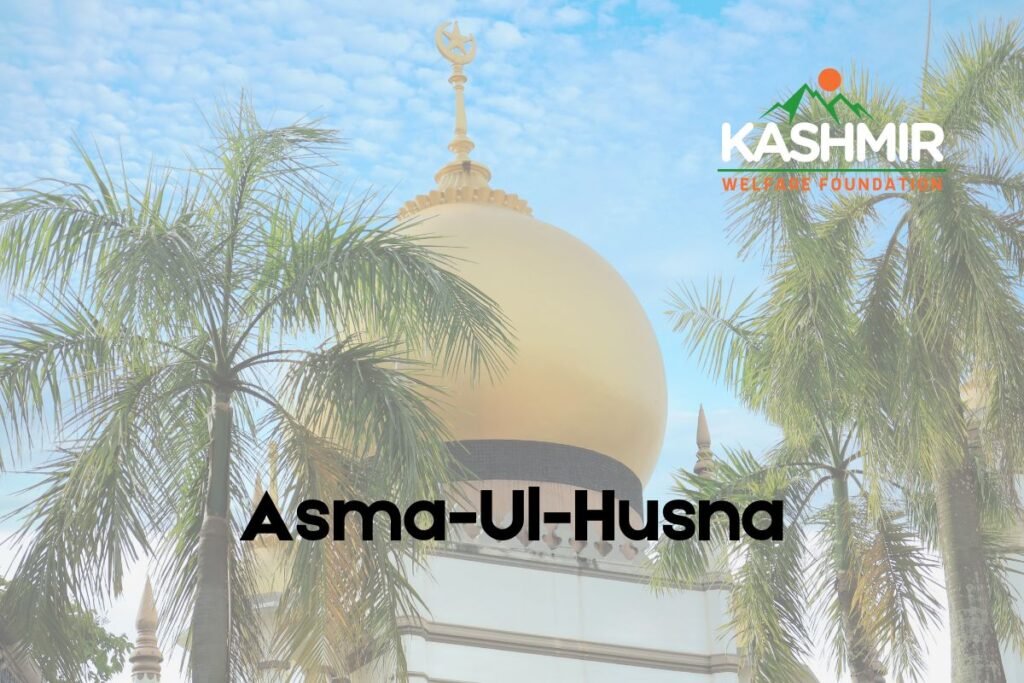 Kashmir Welfare Foundation is a UK-registered charity dedicated to Kashmir disaster relief, education support, healthcare projects, and orphan aid. Donate today to help alleviate poverty in Azad Kashmir and provide life-saving assistance. Kashmir charity, UK registered charity, Azad Kashmir aid, Kashmir disaster relief, Donate to Kashmir, Kashmir education support, Kashmir healthcare projects, Kashmir orphan support, Kashmir poverty alleviation, Kashmir emergency response, Kashmir community development, KORT, Kashmir Orphans relief trust, Orphans in Need, Islamic Relief, Penny Appeal