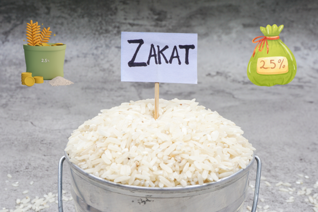 Rice bowl with a Zakat sign over it.. Kashmir Welfare Foundation is a UK-registered charity dedicated to Kashmir disaster relief, education support, healthcare projects, and orphan aid. Donate today to help alleviate poverty in Azad Kashmir and provide life-saving assistance. Kashmir charity, UK registered charity, Azad Kashmir aid, Kashmir disaster relief, Donate to Kashmir, Kashmir education support, Kashmir healthcare projects, Kashmir orphan support, Kashmir poverty alleviation, Kashmir emergency response, Kashmir community development, KORT, Kashmir Orphans relief trust, Orphans in Need, Islamic Relief, Penny Appeal