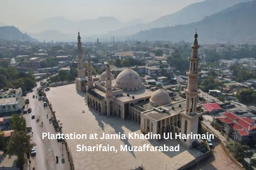 Kashmir Welfare Foundation is a UK-registered charity dedicated to Kashmir disaster relief, education support, healthcare projects, and orphan aid. Donate today to help alleviate poverty in Azad Kashmir and provide life-saving assistance. Kashmir charity, UK registered charity, Azad Kashmir aid, Kashmir disaster relief, Donate to Kashmir, Kashmir education support, Kashmir healthcare projects, Kashmir orphan support, Kashmir poverty alleviation, Kashmir emergency response, Kashmir community development, KORT, Kashmir Orphans relief trust, Orphans in Need, Islamic Relief, Penny Appeal