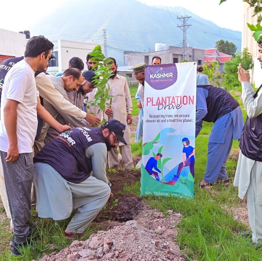 Tree planting and environment projects in Kashmir